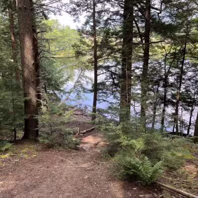 Messalonskee Stream Trail - Oakland, ME