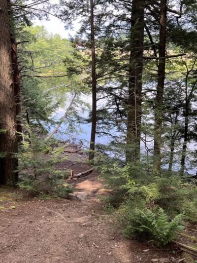 Messalonskee Stream Trail - Oakland, ME