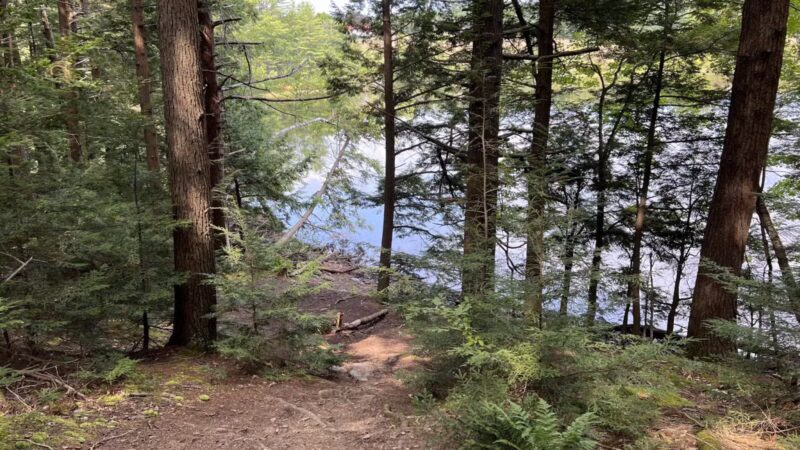 Messalonskee Stream Trail - Oakland, ME