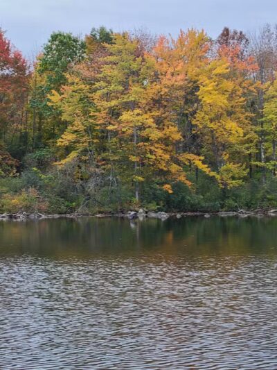 Oakland Waterfront Park - Oakland, ME