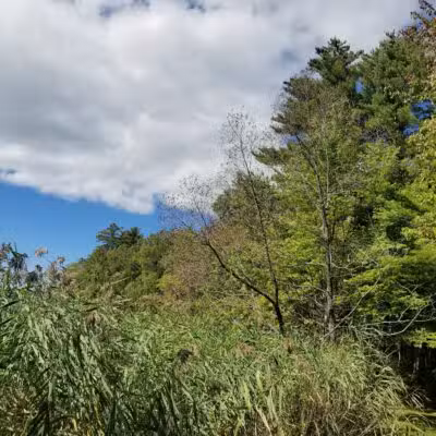 Pleasant Point Park - Oakland, ME