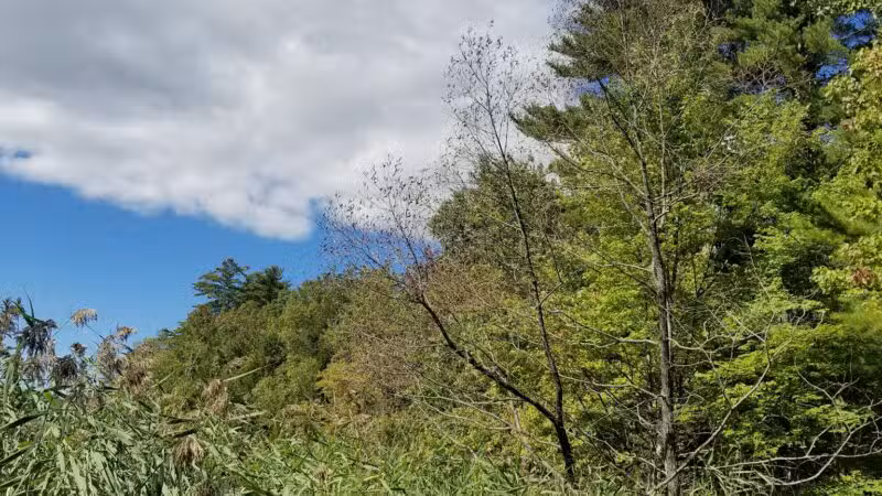 Pleasant Point Park - Oakland, ME