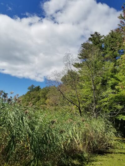 Pleasant Point Park - Oakland, ME