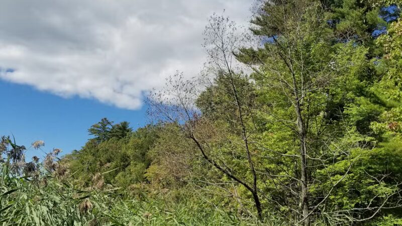 Pleasant Point Park - Oakland, ME