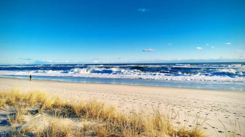 Fire Island National Seashore - Ocean Beach, NY