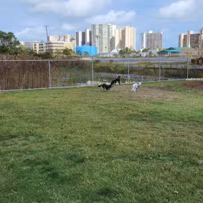 Dog Playground - Ocean City, MD