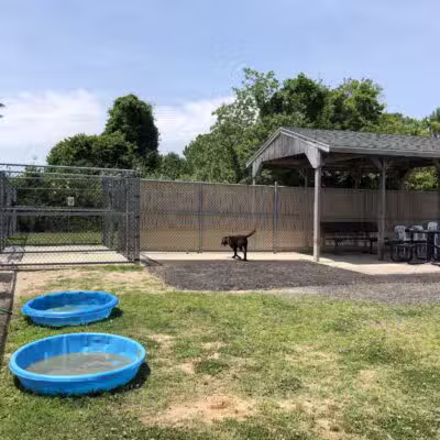 Dog Playground - Ocean City, MD