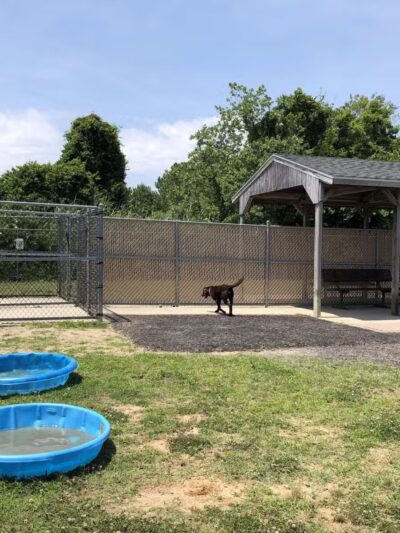 Dog Playground - Ocean City, MD