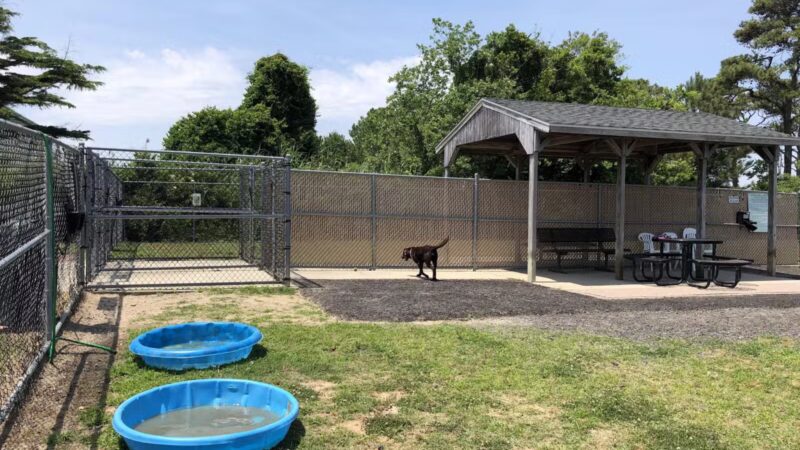 Dog Playground - Ocean City, MD