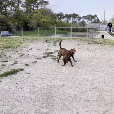 Dog Playground - Ocean City, MD