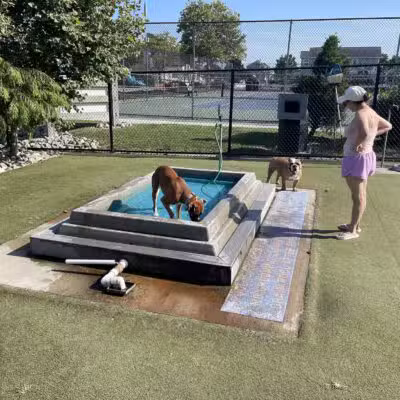 Dog Playground - Ocean City, MD