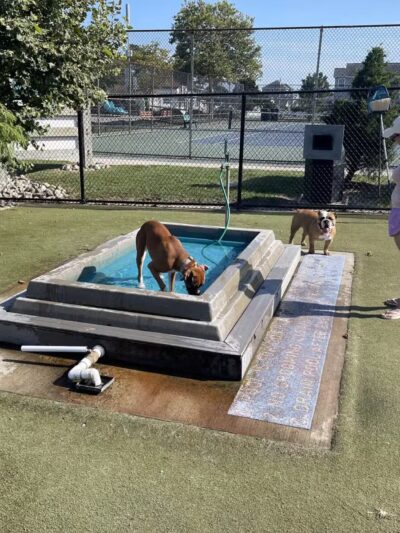 Dog Playground - Ocean City, MD