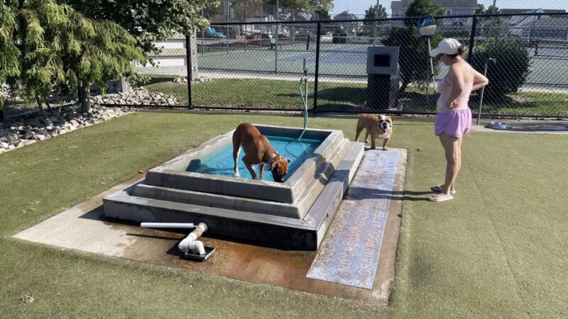 Dog Playground - Ocean City, MD