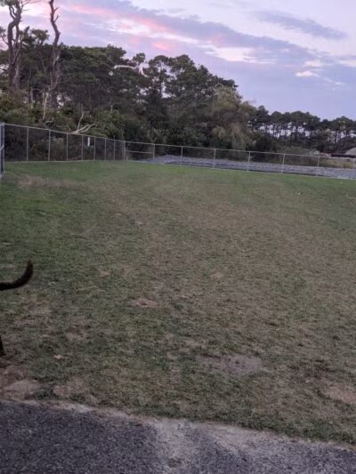 Dog Playground - Ocean City, MD