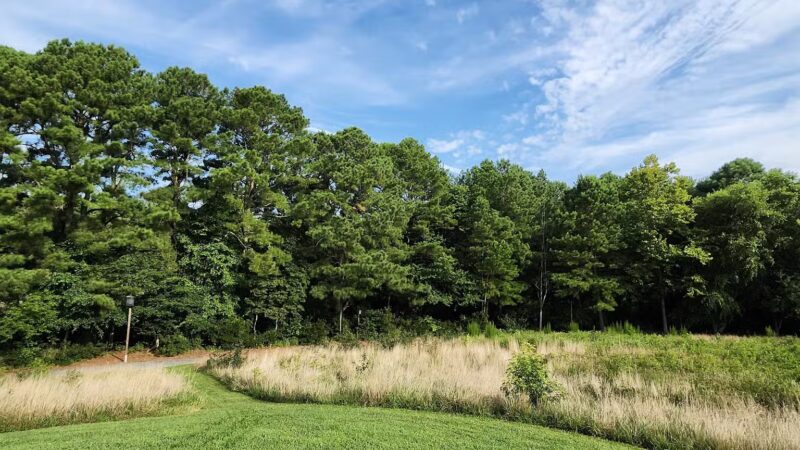 Herring Creek Nature Park - Ocean City, MD