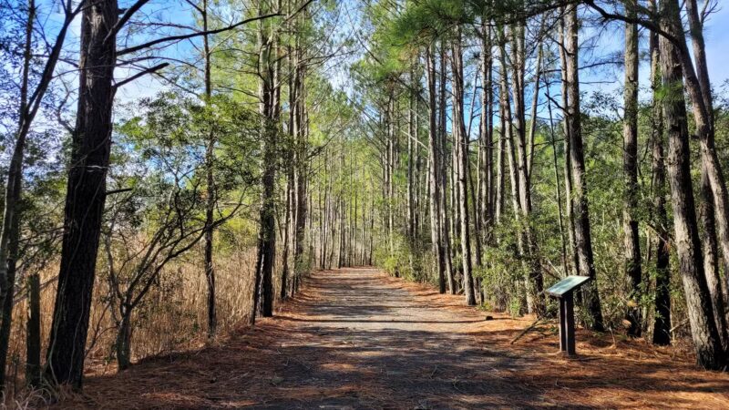 Herring Creek Nature Park - Ocean City, MD