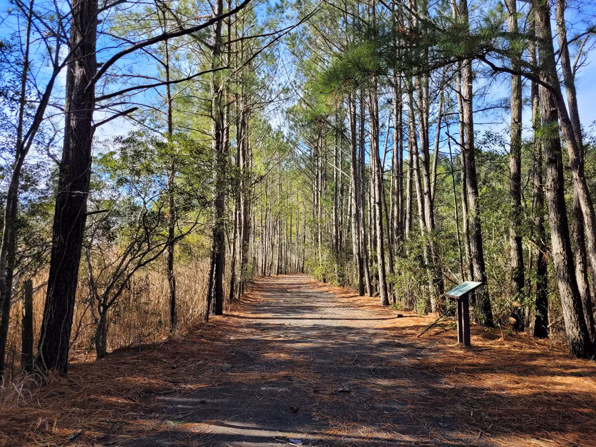 Herring Creek Nature Park - Ocean City, MD