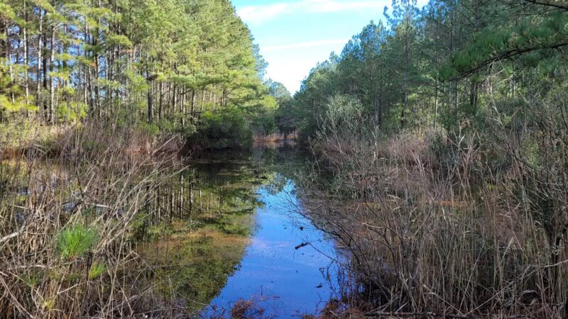 Herring Creek Nature Park - Ocean City, MD
