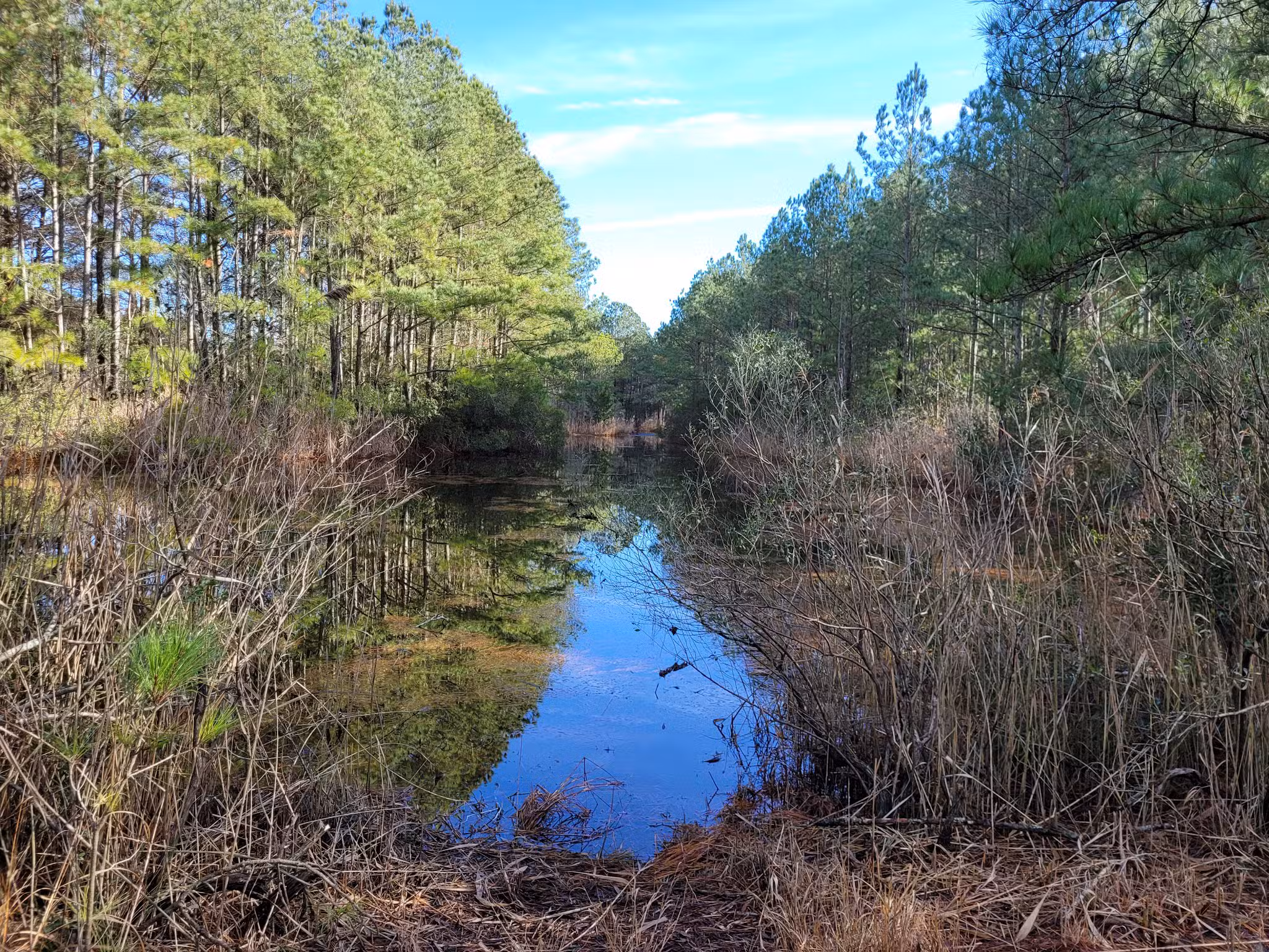 Herring Creek Nature Park - Ocean City, MD