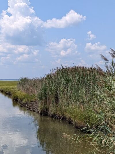 Little Salisbury Neighborhood Park - Ocean City, MD