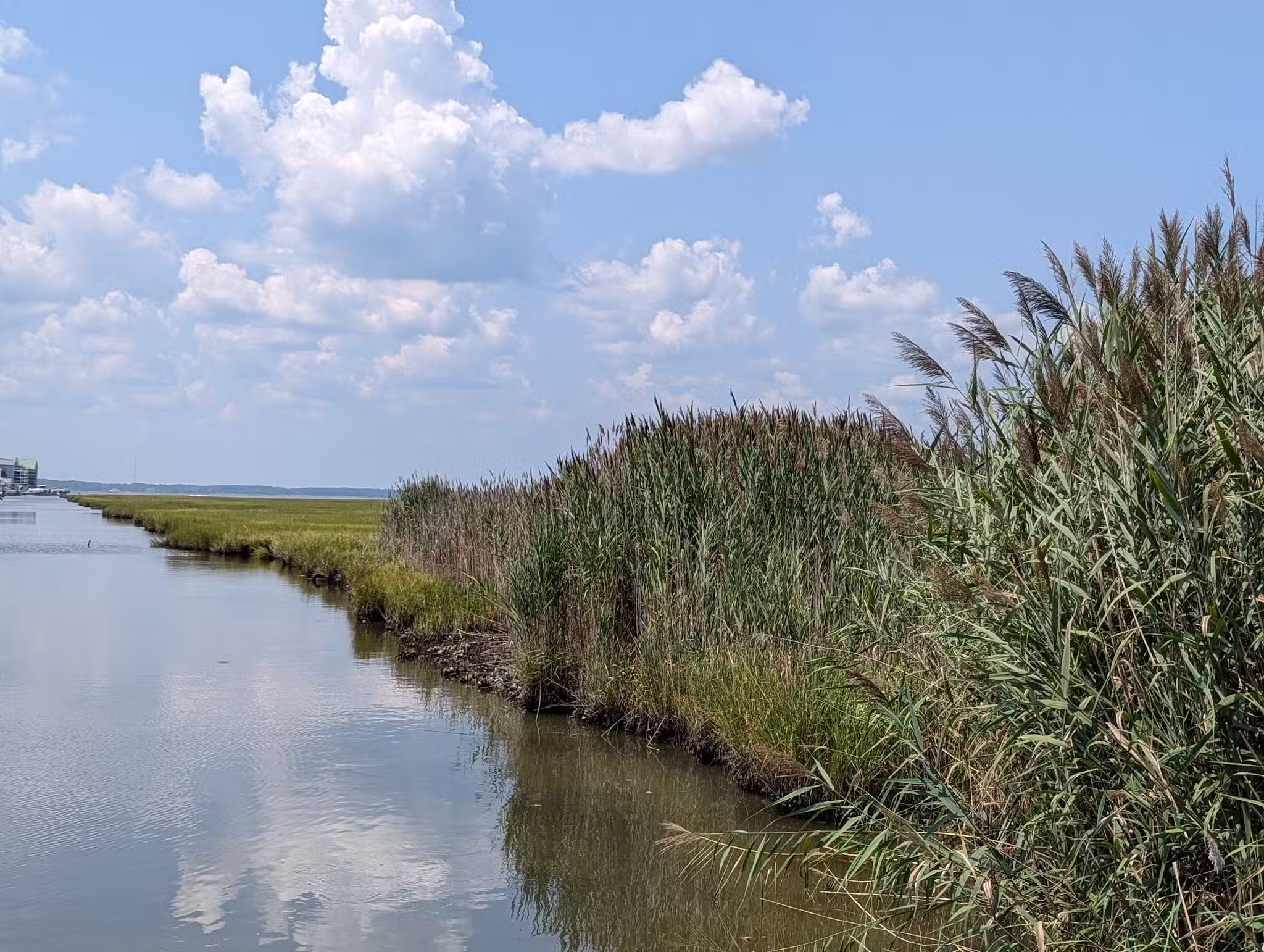 Little Salisbury Neighborhood Park - Ocean City, MD