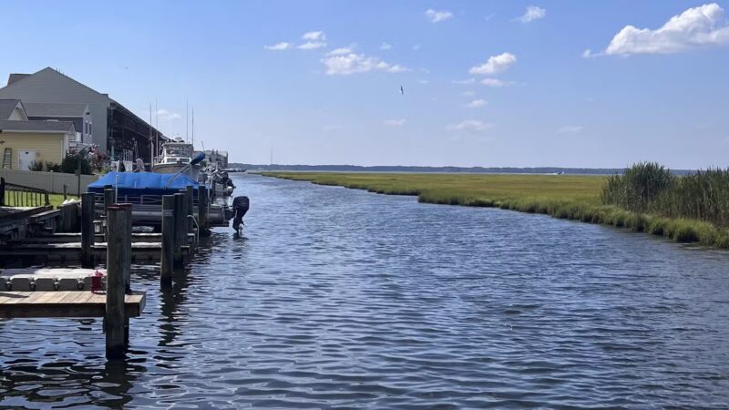 Little Salisbury Neighborhood Park - Ocean City, MD