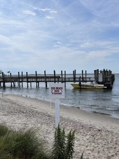 Pet Beach - Ocean City, MD