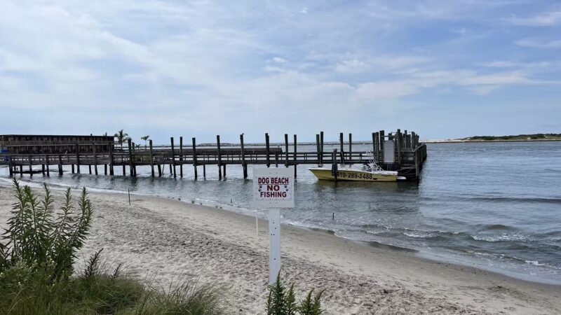 Pet Beach - Ocean City, MD