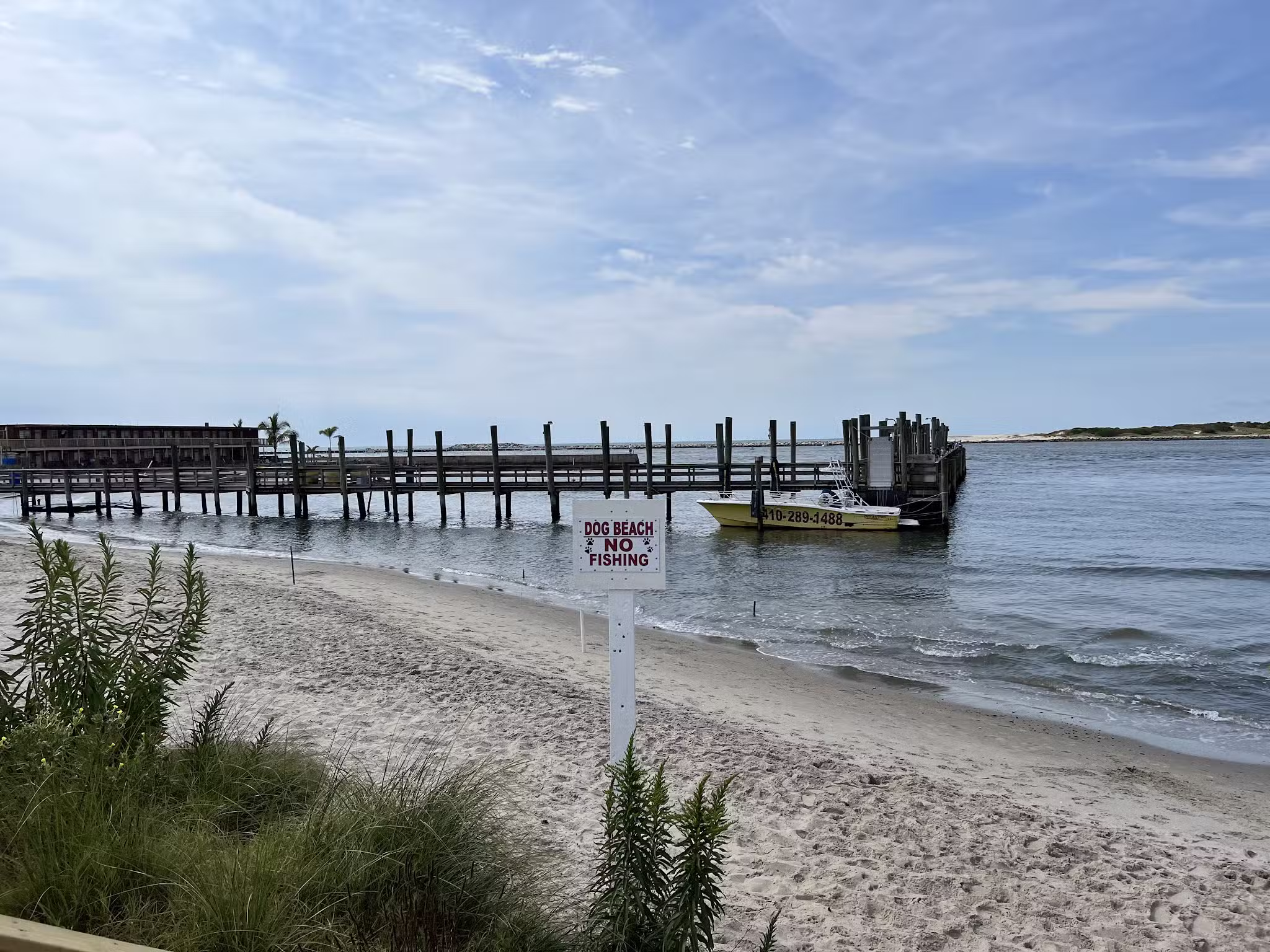 Pet Beach - Ocean City, MD