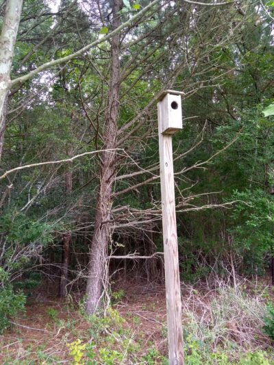 West Ocean City Nature Park - Ocean City, MD