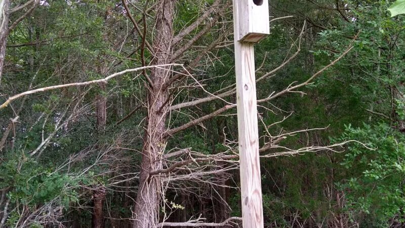 West Ocean City Nature Park - Ocean City, MD