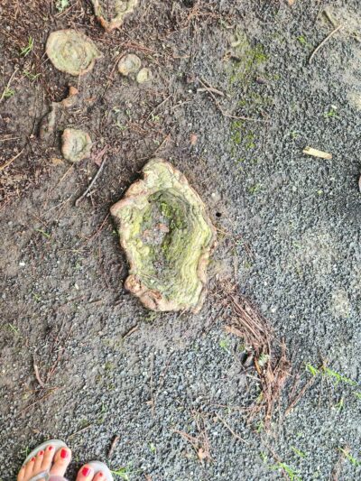 West Ocean City Nature Park - Ocean City, MD