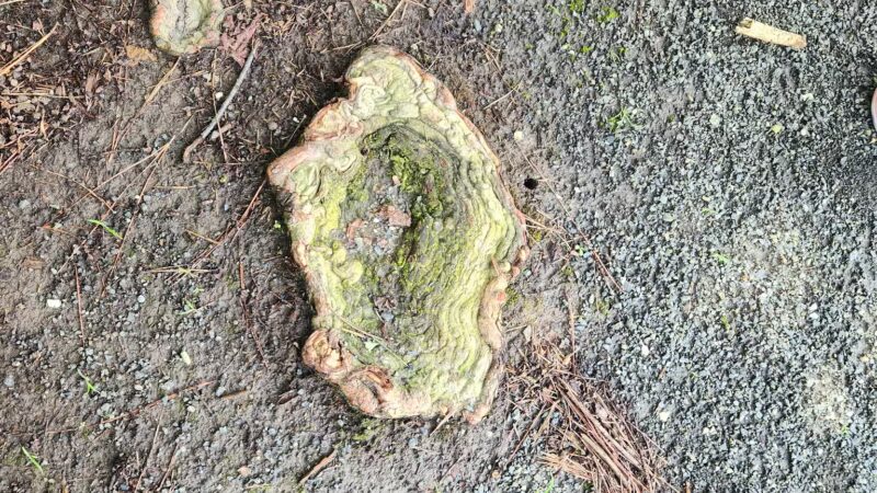 West Ocean City Nature Park - Ocean City, MD