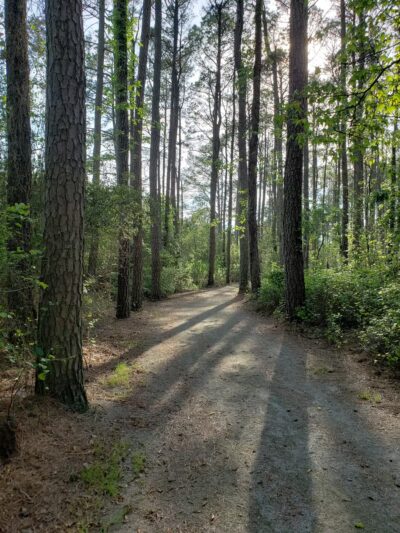 West Ocean City Nature Park - Ocean City, MD