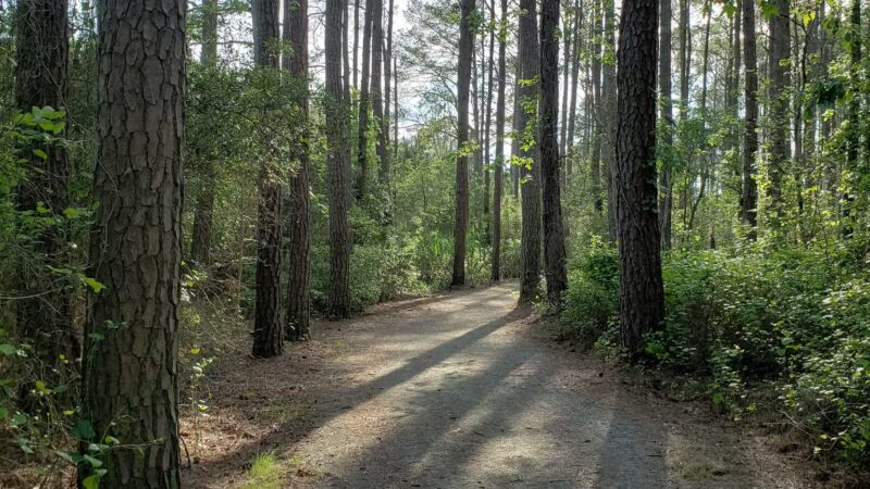 West Ocean City Nature Park - Ocean City, MD
