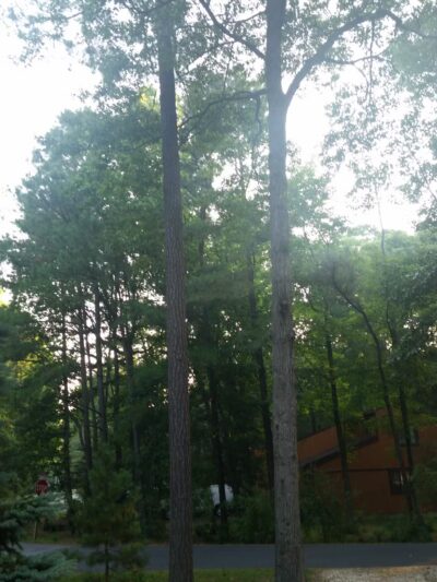 Huntington Park - Ocean Pines, MD