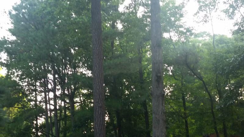 Huntington Park - Ocean Pines, MD