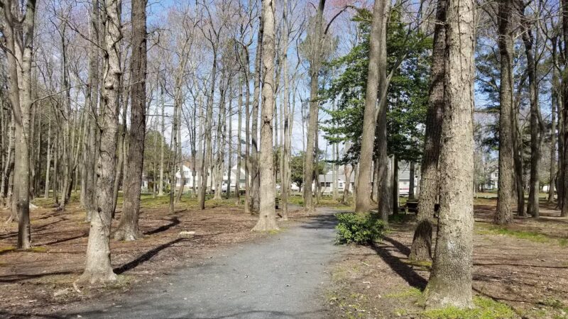 Pintail Park - Ocean Pines, MD