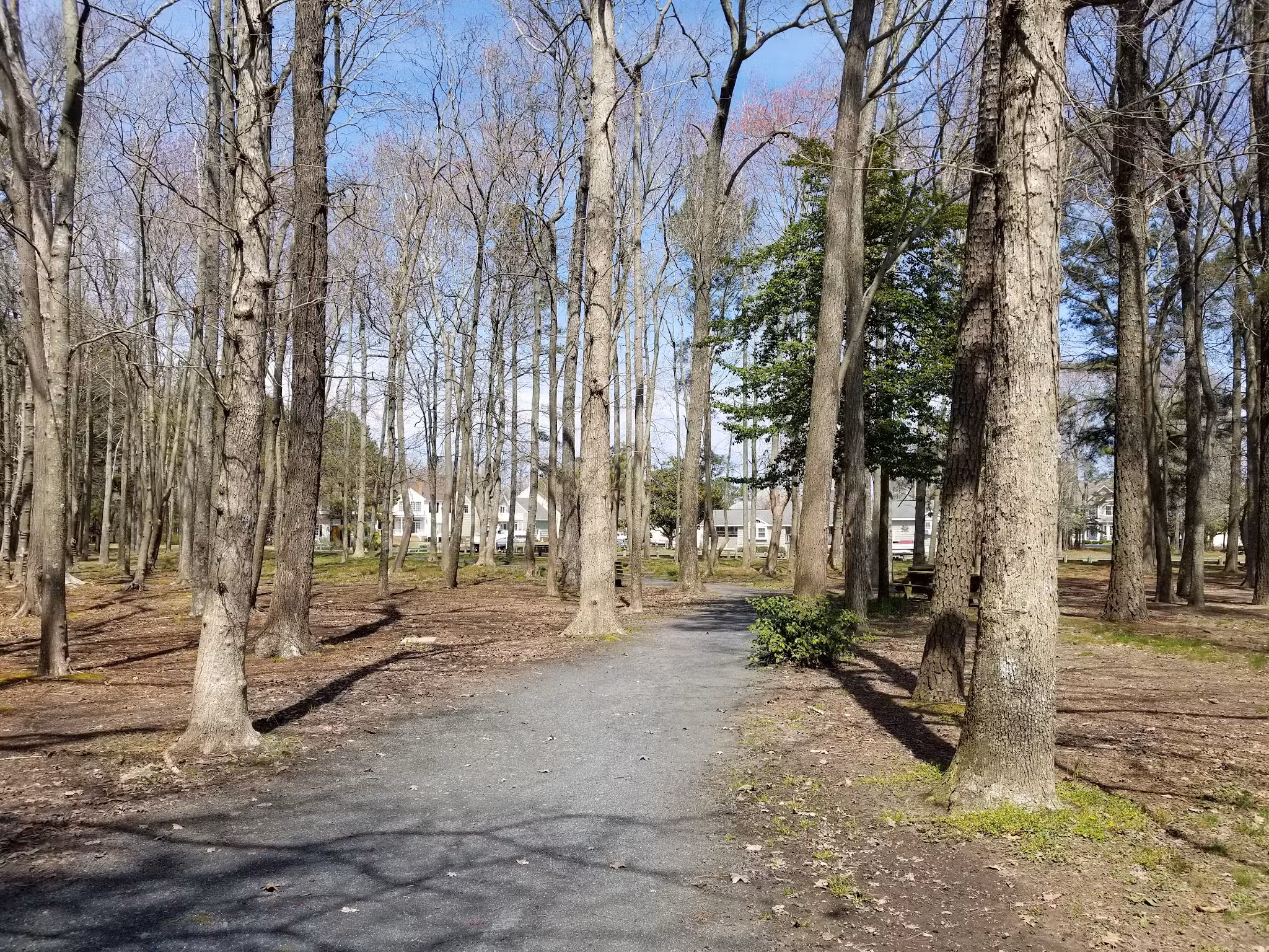 Pintail Park - Ocean Pines, MD