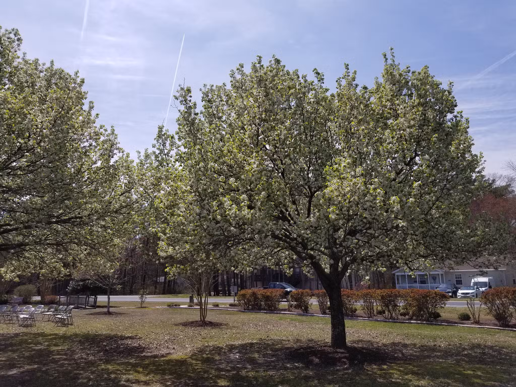 Pintail Park - Ocean Pines, MD