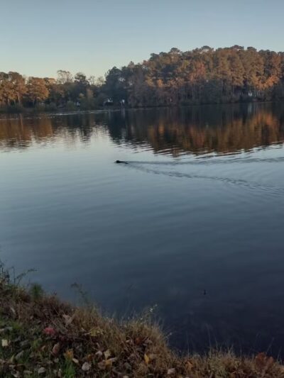 Veterans Memorial Park - Ocean Pines, MD