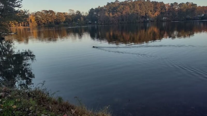 Veterans Memorial Park - Ocean Pines, MD