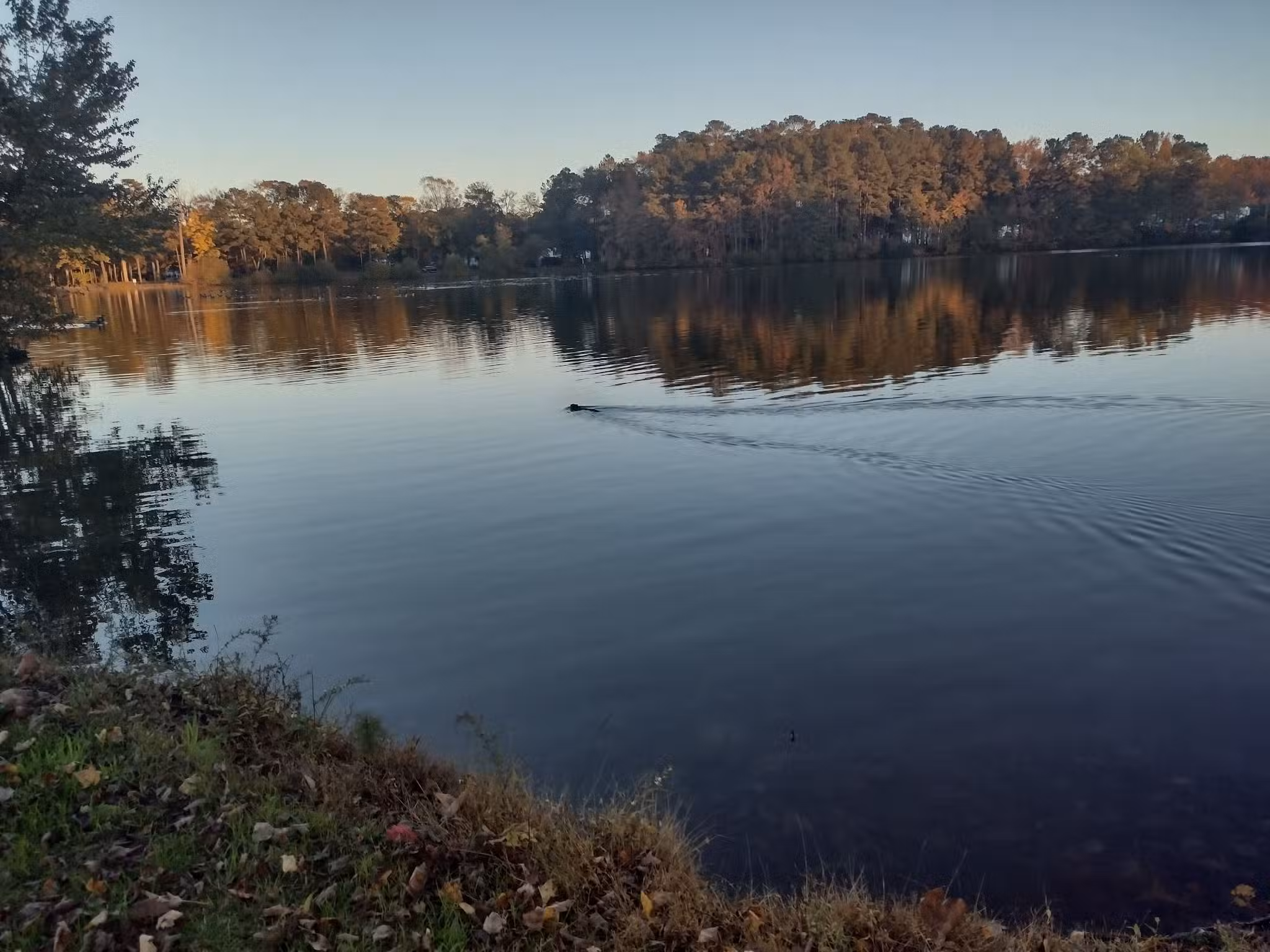 Veterans Memorial Park - Ocean Pines, MD
