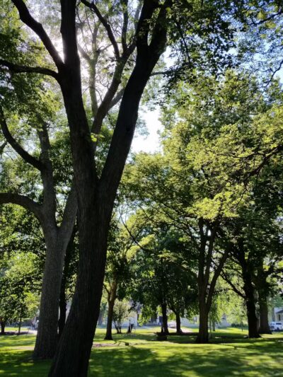 Odebolt City Park - Odebolt, IA