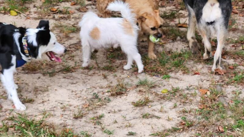 Towsers Branch Park - Odenton, MD