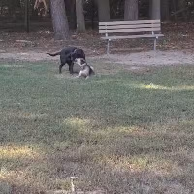 Towsers Branch Park - Odenton, MD