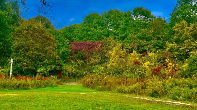 Bethpage State Park Eagle Pavilion - Old Bethpage, NY