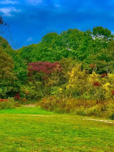 Bethpage State Park Eagle Pavilion - Old Bethpage, NY