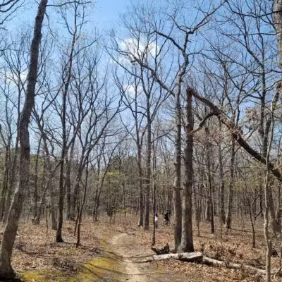 Bethpage State Park Staging Area Long Island - Old Bethpage, NY