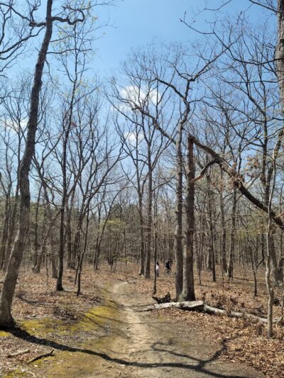 Bethpage State Park Staging Area Long Island - Old Bethpage, NY